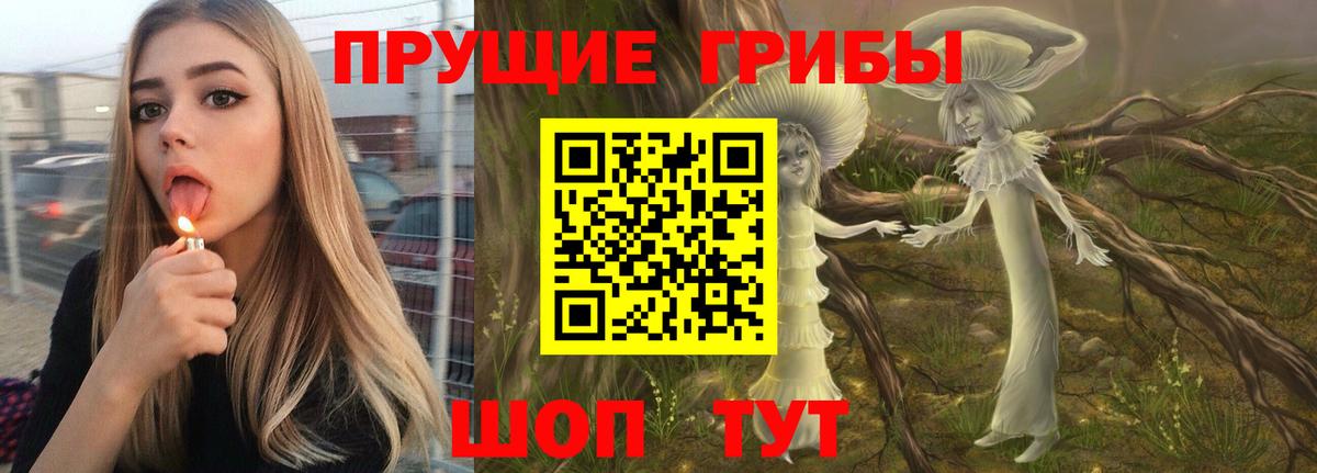 Галлюциногенные грибы мухоморы  Вход с VPN  Котлас  Галлюциногенные грибы Psilocybe 