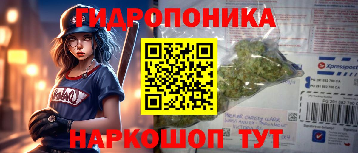 Бошки марихуана гибрид  Вход с VPN  Марихуана VHQ  Котлас  Каннабис планчик  Бошки марихуана Ganja 